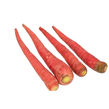 Organic Red Carrot